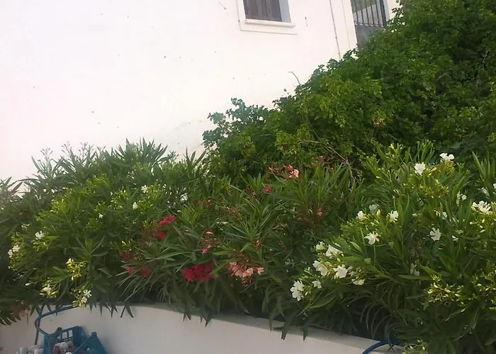 Gyrouli 1